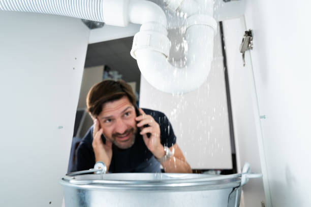 Best Emergency Plumber  in Waseca, MN