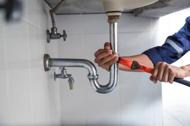Best Local Plumber Services  in Waseca, MN